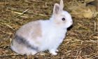 Im Kavaliershaus 14