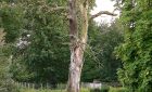 In der Meierei 20