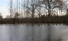 Cottage 29