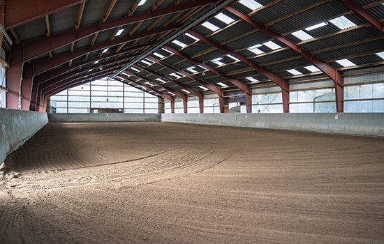 Reitplatz und Reithalle auf Gut Gaarz