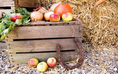 Herbst Spezial & Baby- und Kleinkindwochen (7 Nächte)