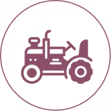 Traktor fahren im Urlaub an der Ostsee mit der Familie
